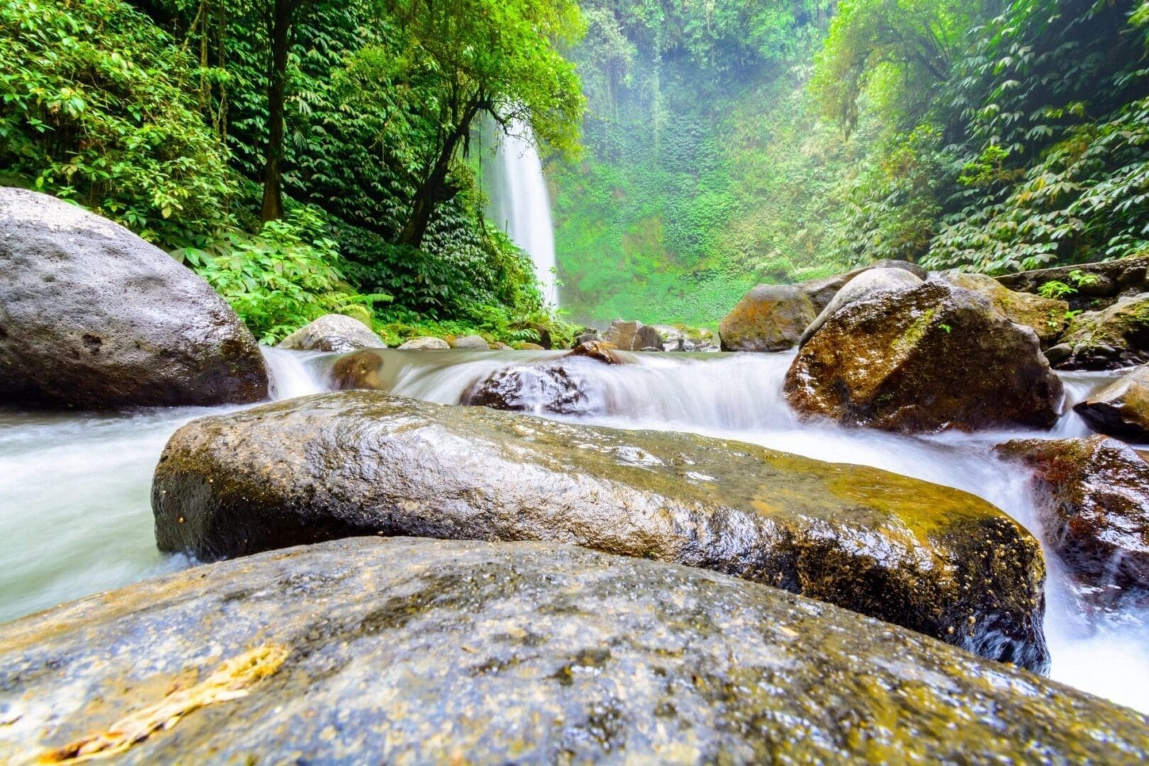 A waterfall in the middle of a forest.