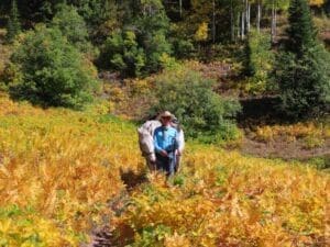 A person standing in the middle of a field