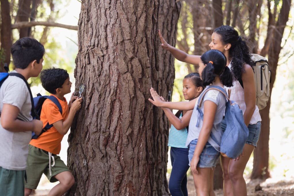 Teacher,And,Children,Touching,Tree,Trunk,In,Forest,During,Field