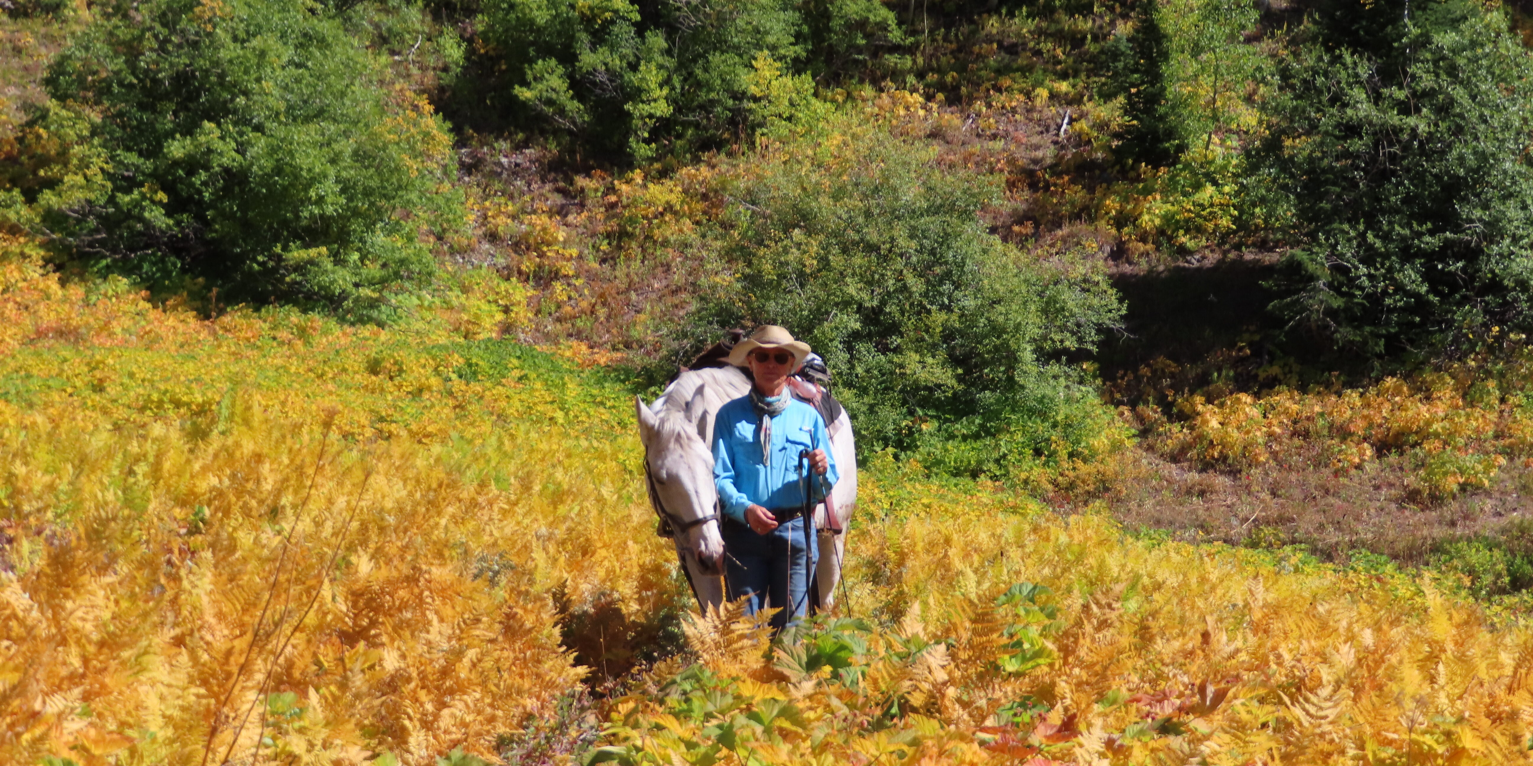 A person standing in the middle of a field